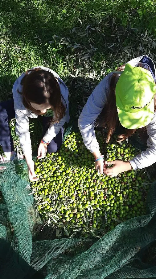 La Casetta Tra Gli Ulivi Sciacca